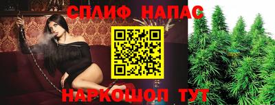 Альфа ПВП Краснодар