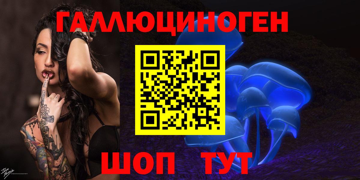 ГАШ Кубинка