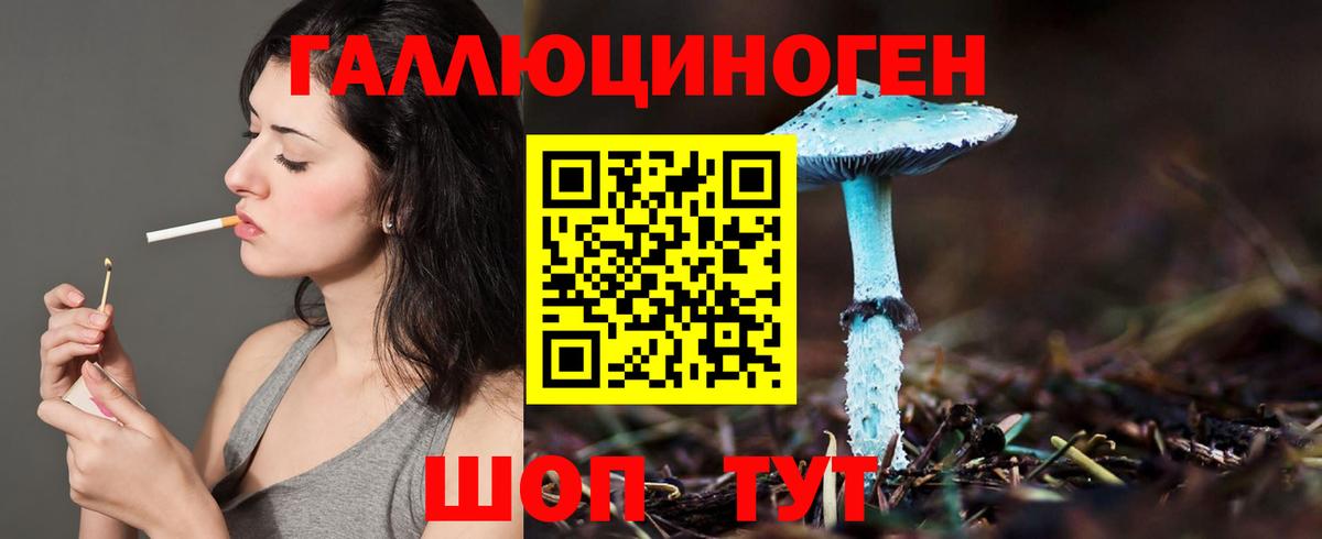 Псилоцибиновые грибы MAGIC MUSHROOMS  Галлюциногенные грибы Psilocybine cubensis  Кубинка  Вход с VPN 
